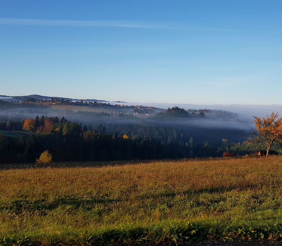Widok na krajobraz górski
